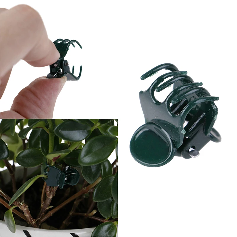 100PCS Plastic Plant Support Clips Orchid Stem Clip for Vine Support Vegetables Flower Tied Bundle Branch Clamping Garden Tool
100PCS Plastic Plant Support Clips Orchid Stem Clip for Vine Support Vegetables Flower Tied Bundle Branch Clamping Garden Tool