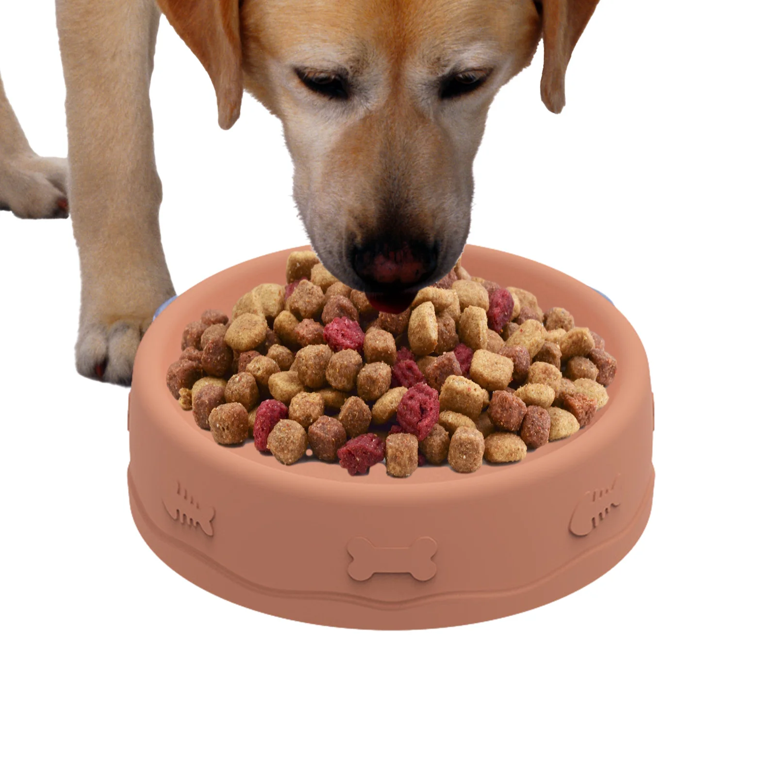 Silicone Slow Food Pet Bowl Drinking Feeding Two-in-One Double Sided Bowl Multifunctional Puppy And Cat Slow Feeding Bowl
Silicone Slow Food Pet Bowl Drinking Feeding Two-in-One Double Sided Bowl Multifunctional Puppy And Cat Slow Feeding Bowl