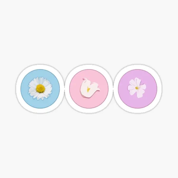 Knockemout Series 5PCS Stickers for Laptop Room Kid Cartoon Anime Bumper Decor Luggage Living Room Print Water Bottles Cute
Knockemout Series 5PCS Stickers for Laptop Room Kid Cartoon Anime Bumper Decor Luggage Living Room Print Water Bottles Cute