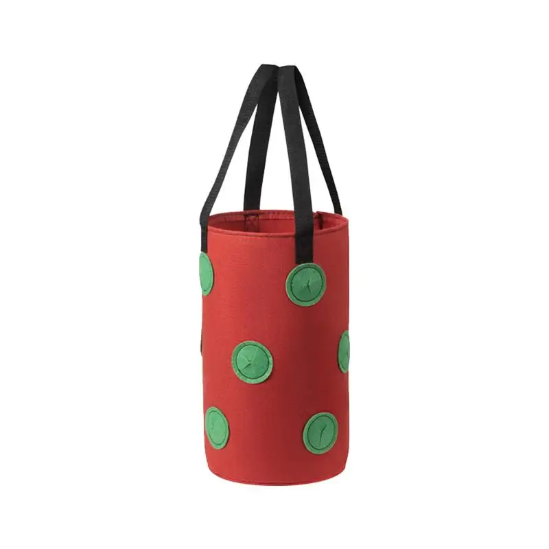 Strawberry Planting Grow Bag Hanging Breathable Durable Reusable Bare Root Planting Bag Plant Pot With 10 Holes Garden Supplies
Strawberry Planting Grow Bag Hanging Breathable Durable Reusable Bare Root Planting Bag Plant Pot With 10 Holes Garden Supplies