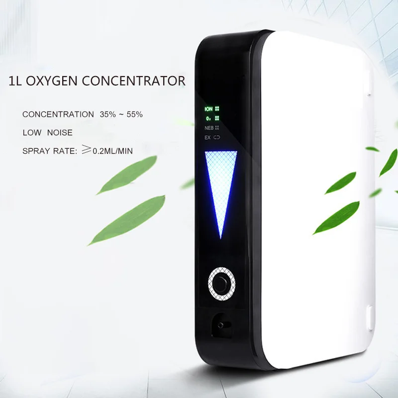 

1L/Min Oxygen Concentrator Household Nebulizer Portable Host Adapted to Vehicle Power Supply Multiple Specifications Plug