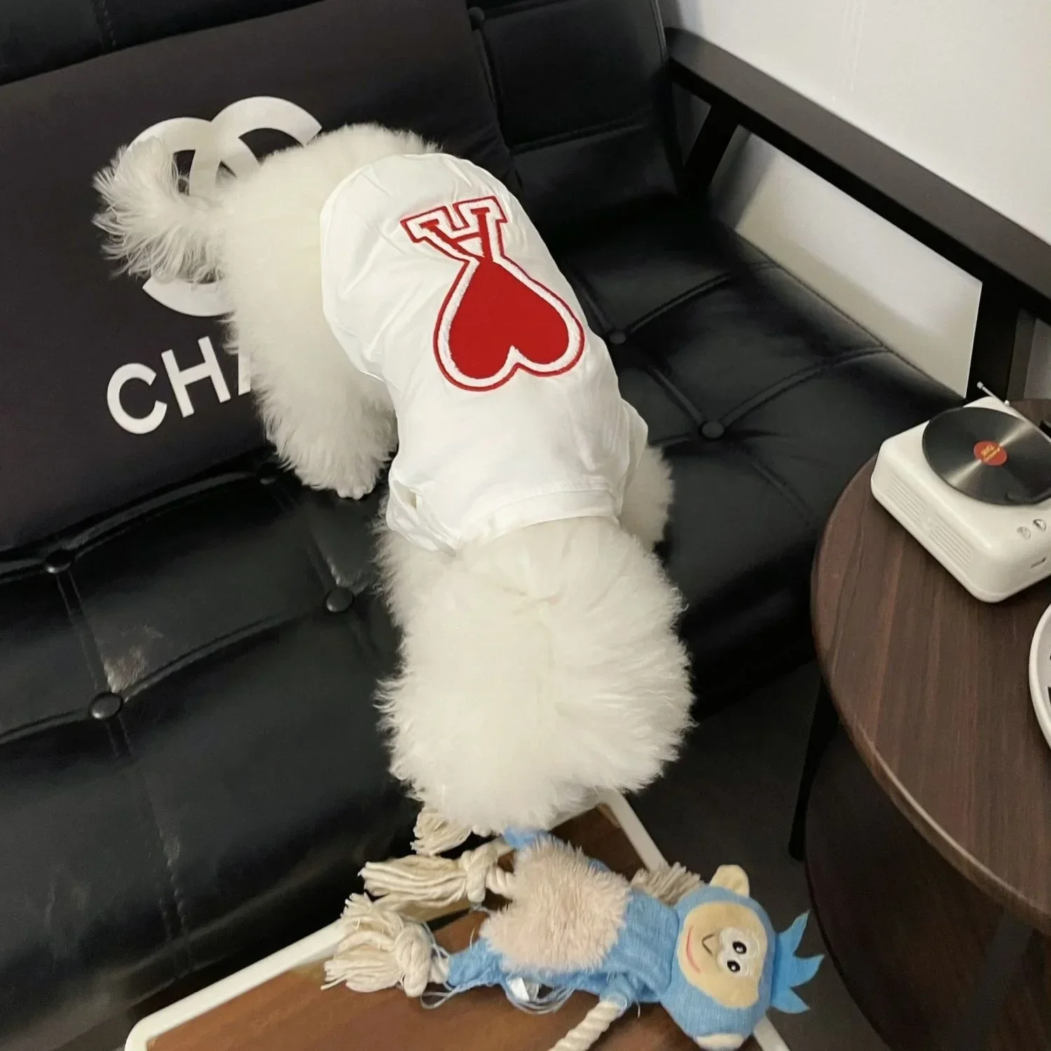 Summer Chic: Cotton Dog Clothes for Small to Medium Dogs - Stylish Pet Custom T-shirt Perfect for French Bulldogs and Chihuahuas
Summer Chic: Cotton Dog Clothes for Small to Medium Dogs - Stylish Pet Custom T-shirt Perfect for French Bulldogs and Chihuahuas