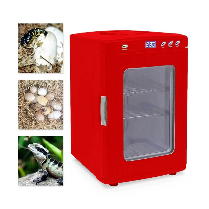 

25L Reptile Incubator Digital Egg Incubator Scientific Lab Incubator Cooling and Heating 5-60°C Work for Small Reptiles