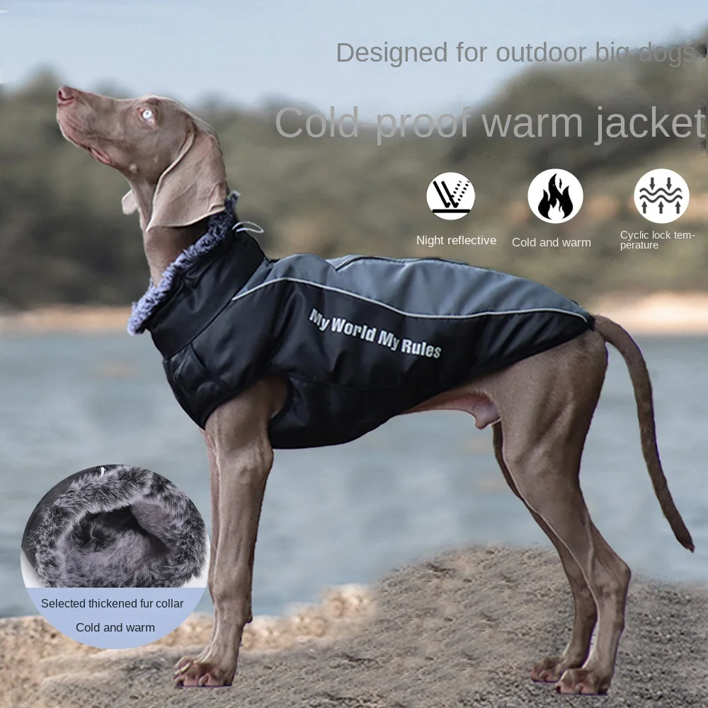 New autumn and winter pet clothing warm reflective big dog clothes padded dog cotton-padded pet clothes
New autumn and winter pet clothing warm reflective big dog clothes padded dog cotton-padded pet clothes
