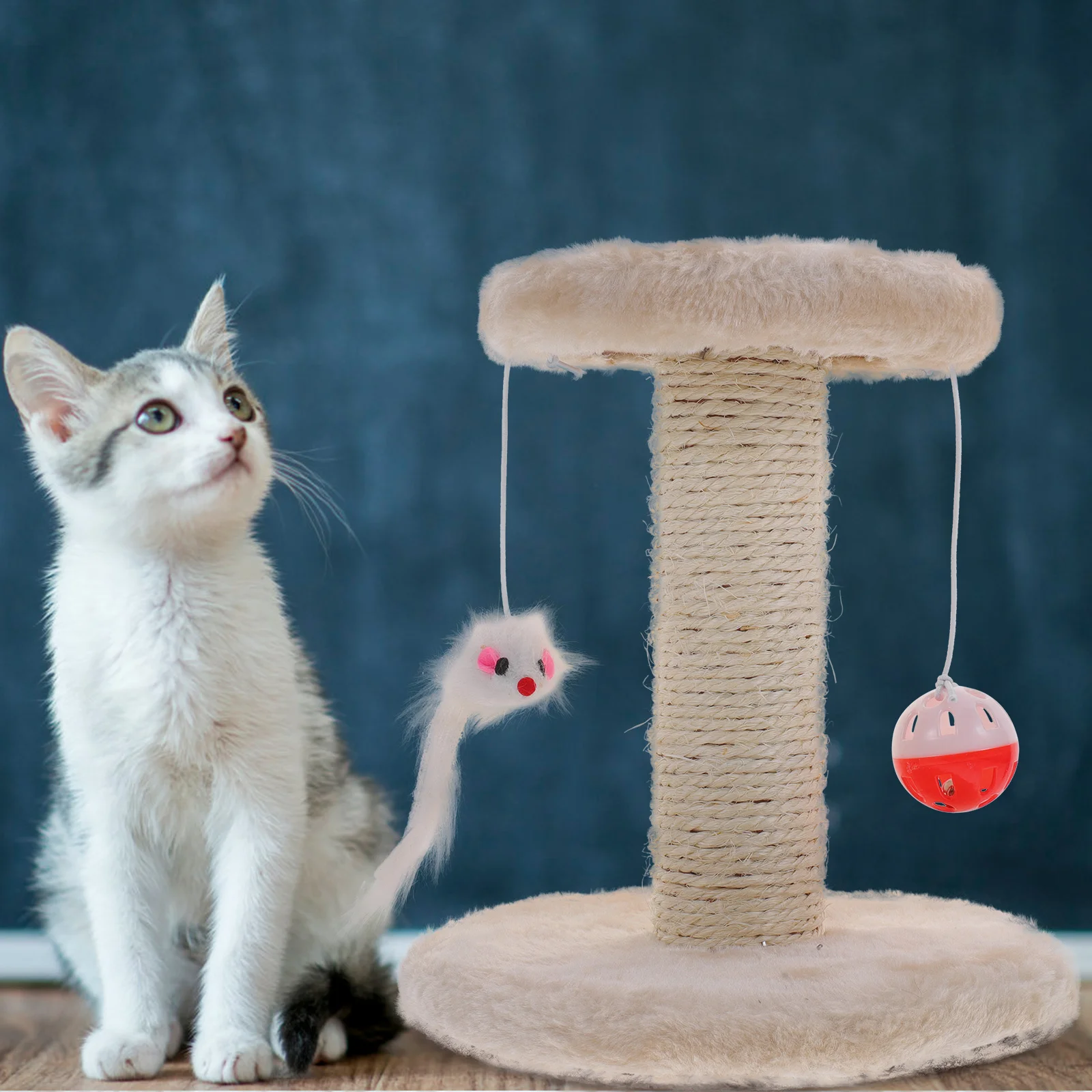 Cat Scratch Post Cute Scratching Scratchers for Indoor Cats Posts Kitten Nail File
Cat Scratch Post Cute Scratching Scratchers for Indoor Cats Posts Kitten Nail File