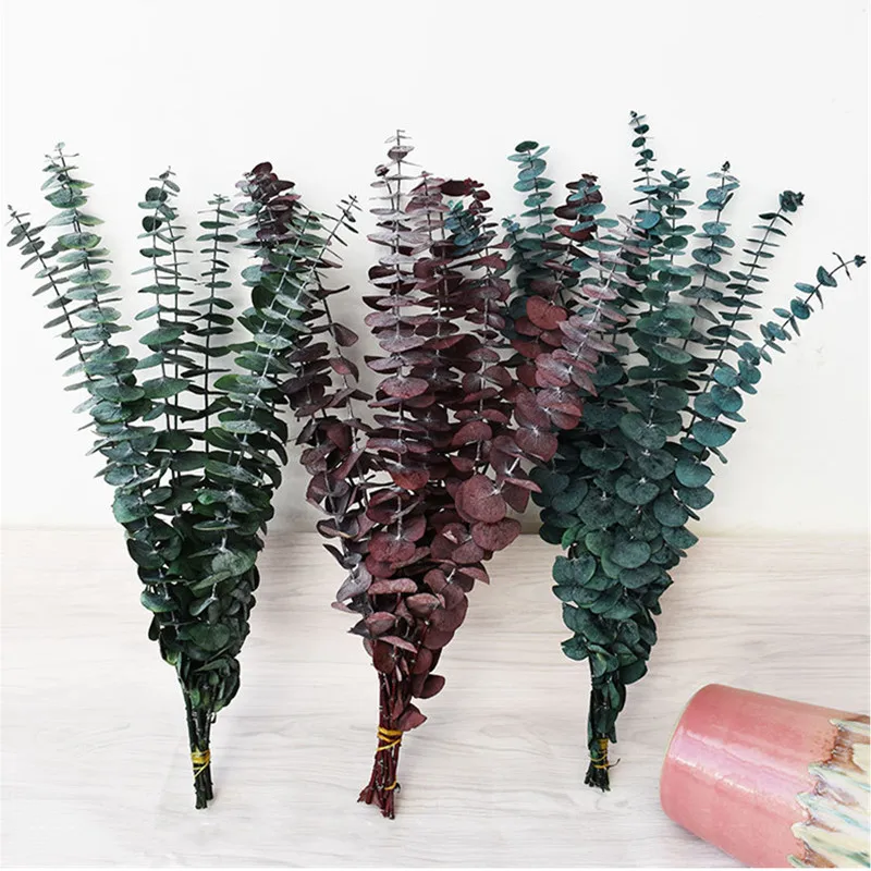 Eucalyptus Green, Red, Dark Blue Dried Flowers Round Leaves About 35cm Long Rustic Bedroom Decorations 10pcs/Lot Bouquet
Eucalyptus Green, Red, Dark Blue Dried Flowers Round Leaves About 35cm Long Rustic Bedroom Decorations 10pcs/Lot Bouquet