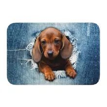 Dachshund dog door mat floor non-slip wiener badger sausage porch kitchen living room carpet 40*60cm toilet