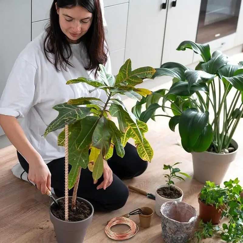 Electroculture Plant Stakes Gardening Copper Coil Antennas For Growing Garden Plants And Vegetables Using Ether Energy Sysytem
Electroculture Plant Stakes Gardening Copper Coil Antennas For Growing Garden Plants And Vegetables Using Ether Energy Sysytem
