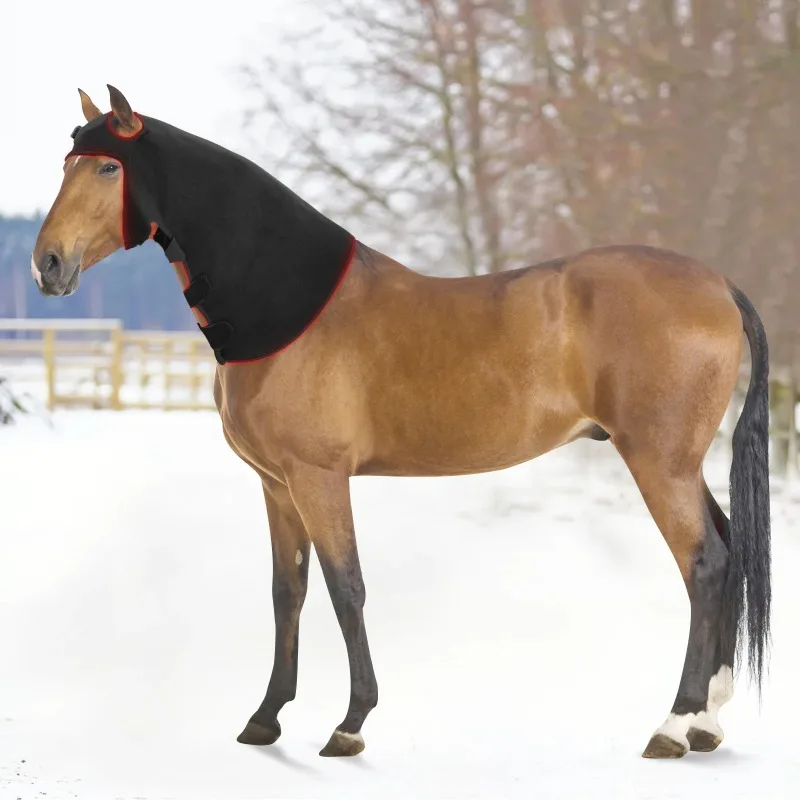 Pain Relief Led Red Light Therapy Horse Equine Therapy Red Light Therapy for Pets Horse
Pain Relief Led Red Light Therapy Horse Equine Therapy Red Light Therapy for Pets Horse