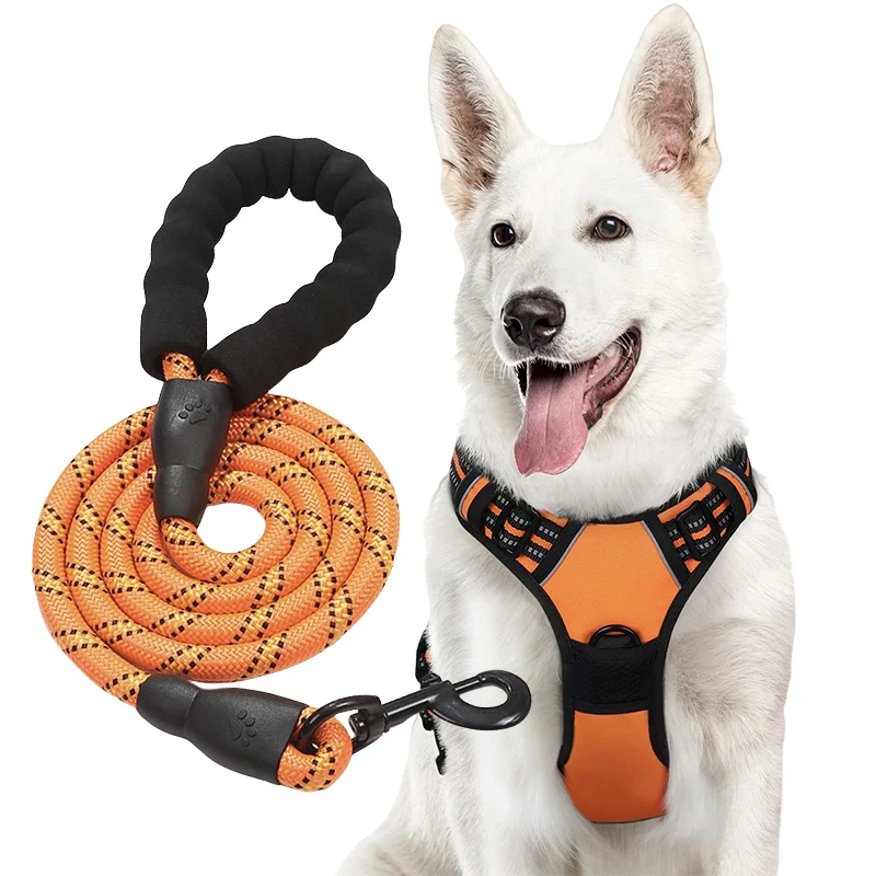 

No Pull Dog Harness Adjustable Reflective Oxford Easy Control Medium Large Dog Harness with A Free Heavy Duty 5ft Dog Leash