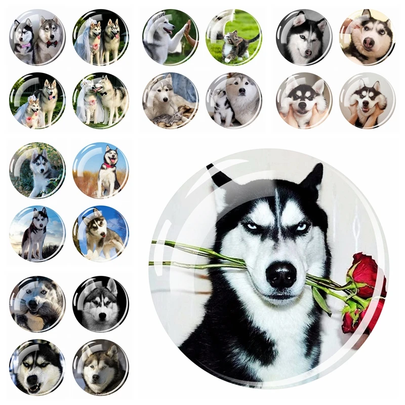 ZYLTD Anime Fridge Magnets Cute Husky Photo Glass Cabochon Refrigerator Stickers Magnet 4PCS/set Home Decoration Wholesale
ZYLTD Anime Fridge Magnets Cute Husky Photo Glass Cabochon Refrigerator Stickers Magnet 4PCS/set Home Decoration Wholesale