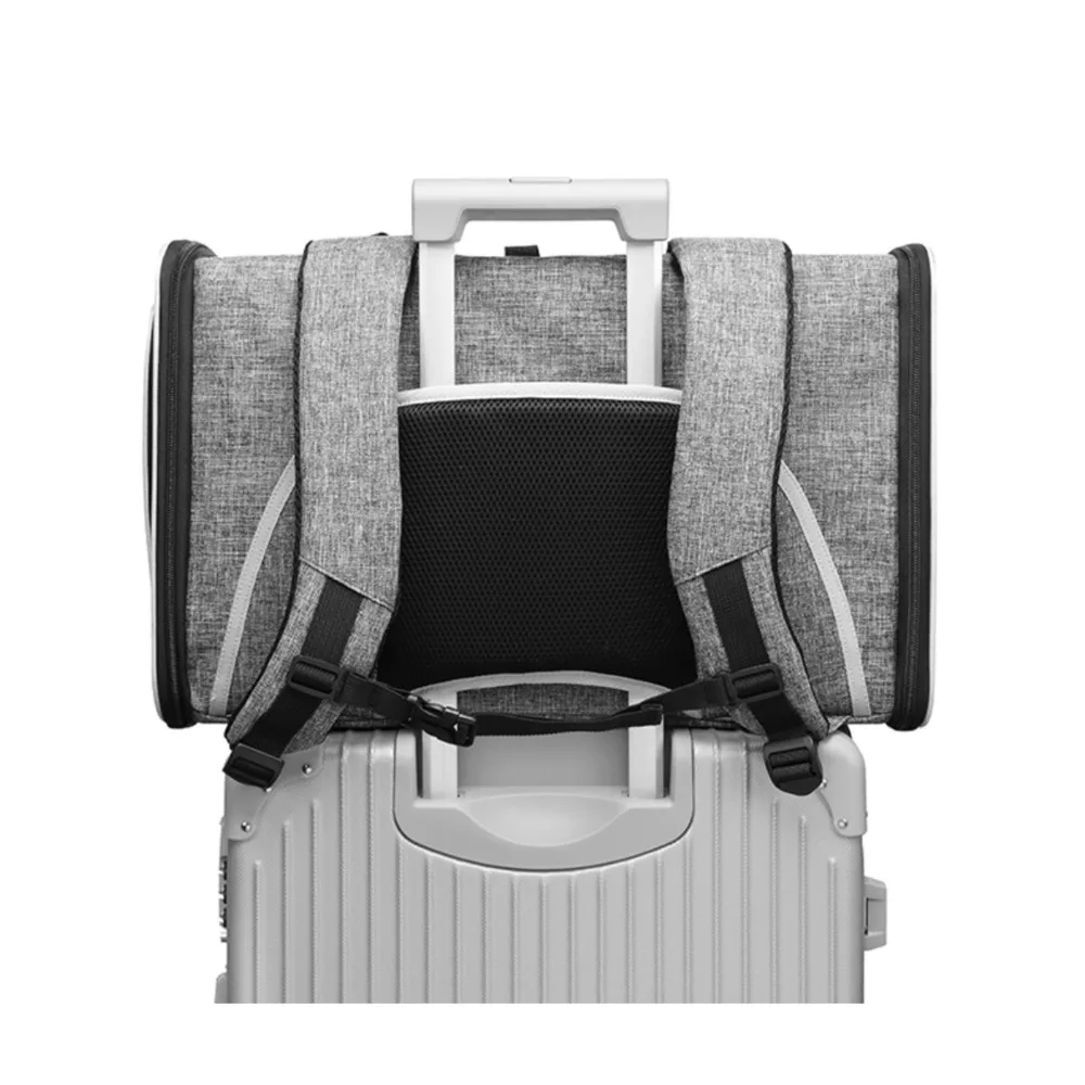 Dog Backpack Pet Carrier Cat Backpack Transport Carrier Breathable Dog Carrier Bags For Small Dogs Load Bearing 7.5kg
Dog Backpack Pet Carrier Cat Backpack Transport Carrier Breathable Dog Carrier Bags For Small Dogs Load Bearing 7.5kg