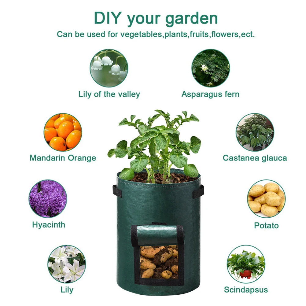 PE Vegetable Grow Bags with Handle, Thickened Growing Bag, Onion Plant Bag, Garden Pot, Potato Grow Bag Tool
PE Vegetable Grow Bags with Handle, Thickened Growing Bag, Onion Plant Bag, Garden Pot, Potato Grow Bag Tool