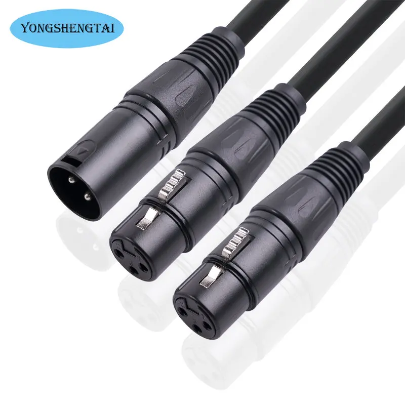 0.5m Shielded Wire, Metal Head, Three-core Balanced Canon, One Revolution To Two Females, XLR, One Drag Two Mixer Audio Cable
0.5m Shielded Wire, Metal Head, Three-core Balanced Canon, One Revolution To Two Females, XLR, One Drag Two Mixer Audio Cable