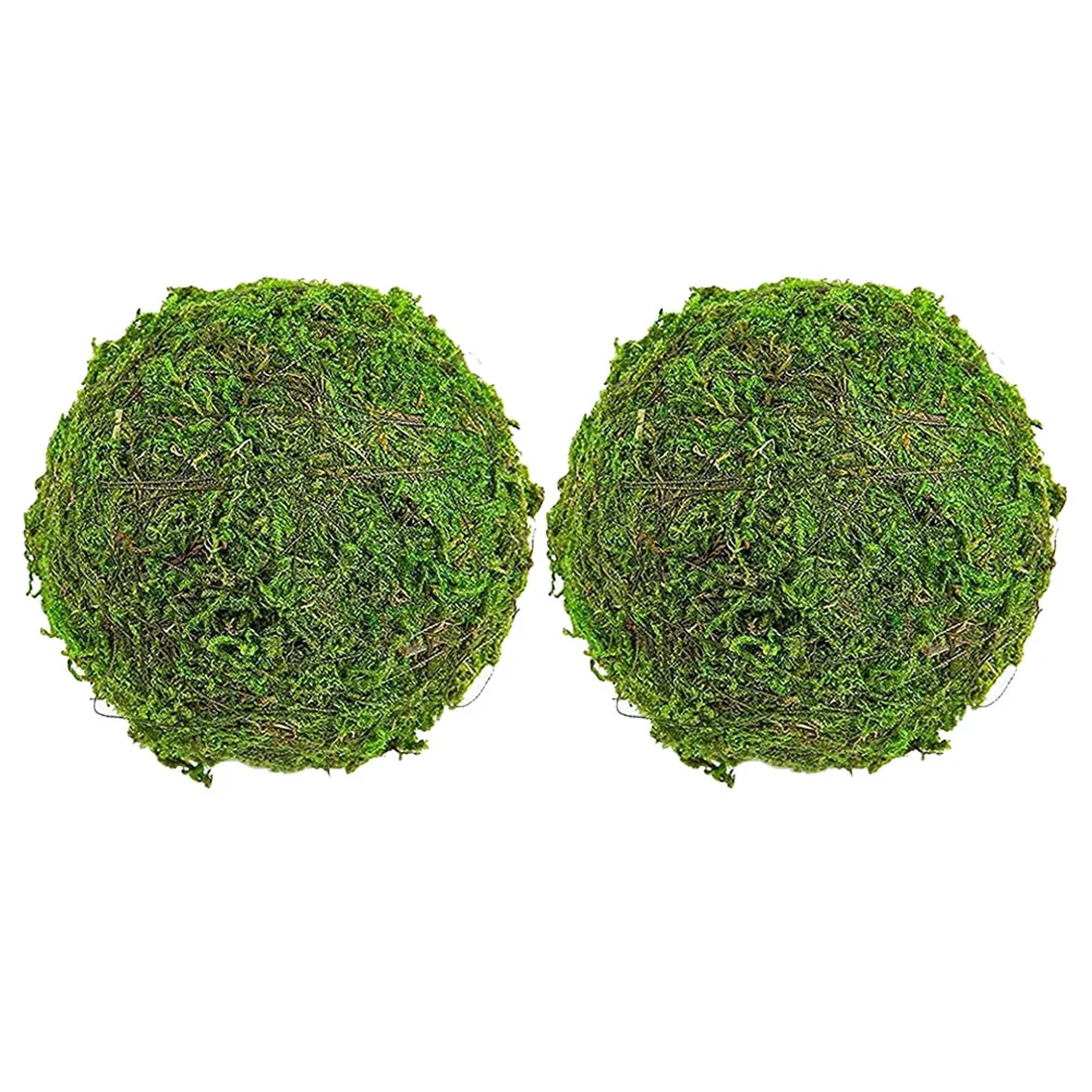 2 Pcs Vases Home Decor Ball Plant Decor Balls Bowl Filler Fish Tank Aquarium Foam Grass Decorations Green
2 Pcs Vases Home Decor Ball Plant Decor Balls Bowl Filler Fish Tank Aquarium Foam Grass Decorations Green