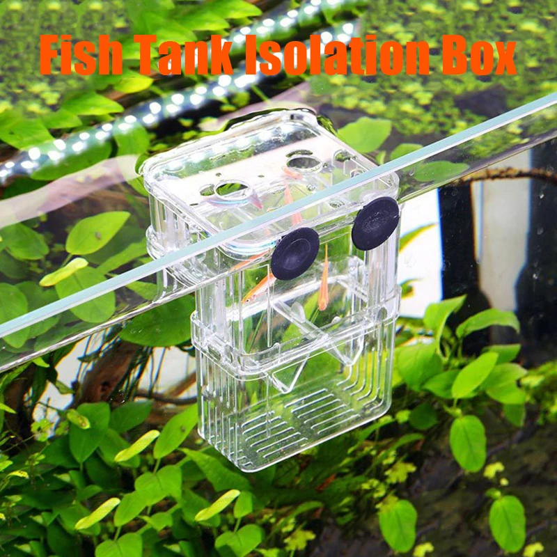 Double-layer aquarium isolation box acrylic malachite hatching box ornamental fish fighting fish breeding box
Double-layer aquarium isolation box acrylic malachite hatching box ornamental fish fighting fish breeding box