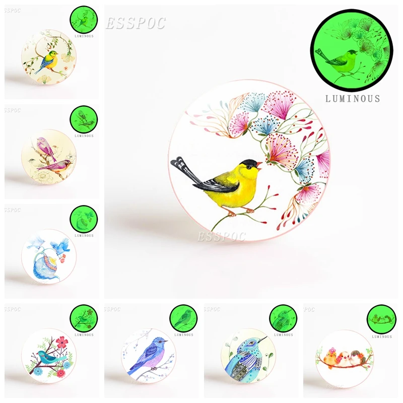 5pcs/set Fashion Accessories Colorful Hummingbird Round Flower Photo Glass Dome Bird Ornament DIY Making Keychain Necklace Gift
5pcs/set Fashion Accessories Colorful Hummingbird Round Flower Photo Glass Dome Bird Ornament DIY Making Keychain Necklace Gift
