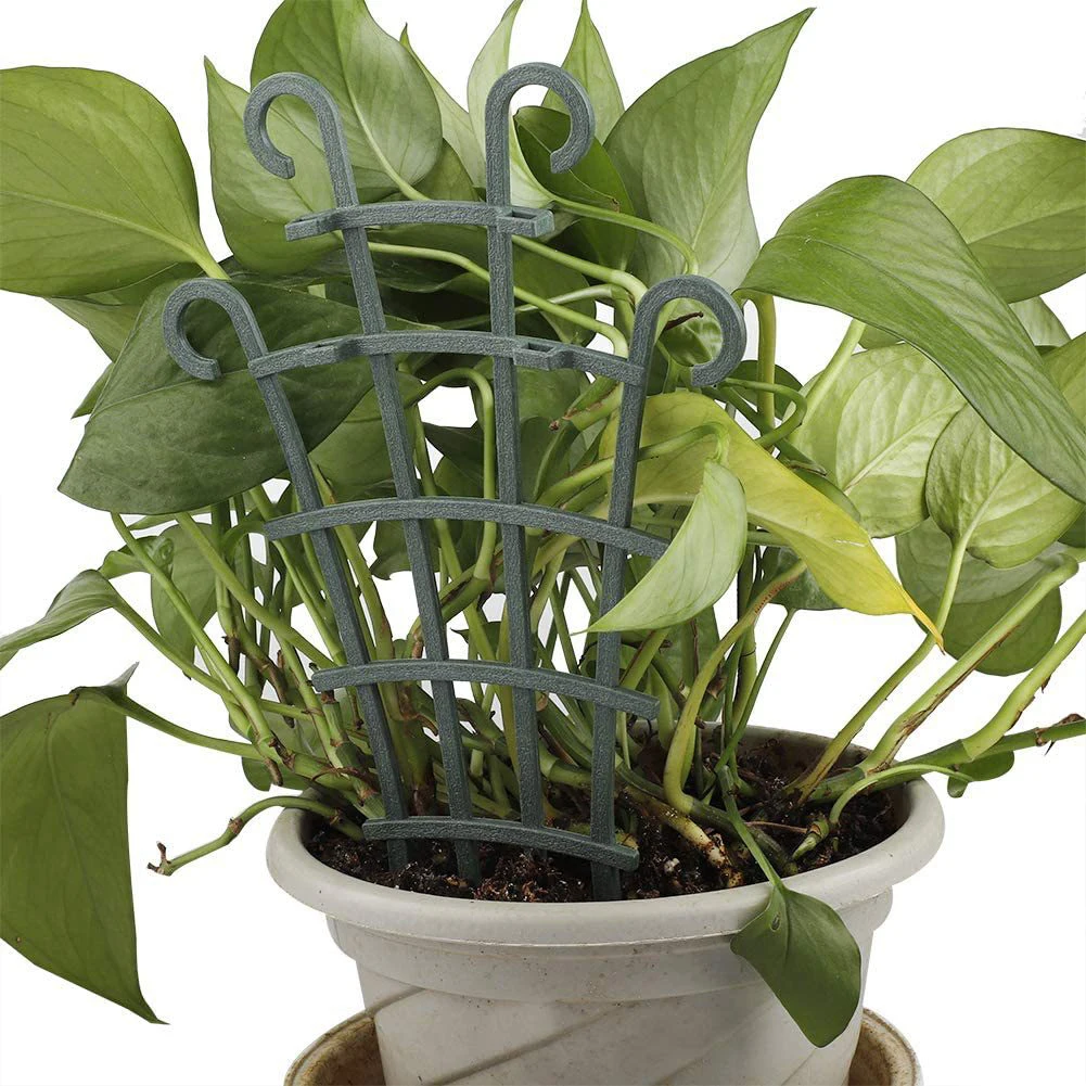Garden Decoration Plant Pergola Flower Holder Plant Plants Pot Rack Rustic Decor Decoration Display Flower Garden
Garden Decoration Plant Pergola Flower Holder Plant Plants Pot Rack Rustic Decor Decoration Display Flower Garden