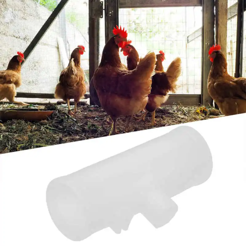 20Pcs Chicken Tee Tube Durable Proof Drill Chicken Waterer Tee Fitting for Breeding Industry poultry
20Pcs Chicken Tee Tube Durable Proof Drill Chicken Waterer Tee Fitting for Breeding Industry poultry