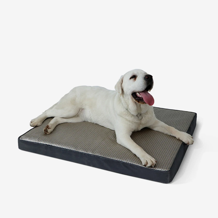 Rattan Dog Bed Cooling Summer Outdoor Small Waterproof Cover Foam Nook Zip Nest Personalised Tapis Chien Home Pets Products
Rattan Dog Bed Cooling Summer Outdoor Small Waterproof Cover Foam Nook Zip Nest Personalised Tapis Chien Home Pets Products