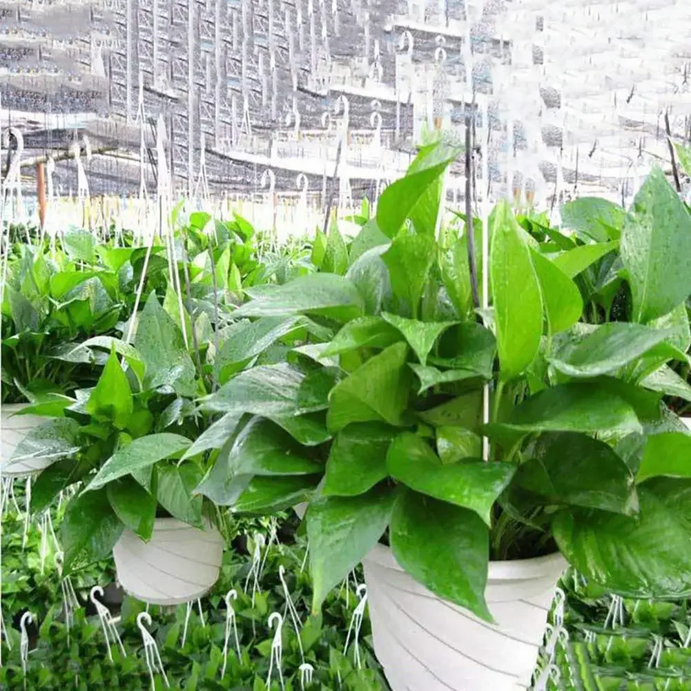 Hanging Pot Hanging Flower Pot 3Pcs/Set Garden Decoration Hook Light Weight Small Hanging Plant Pots Shopping Mall
Hanging Pot Hanging Flower Pot 3Pcs/Set Garden Decoration Hook Light Weight Small Hanging Plant Pots Shopping Mall