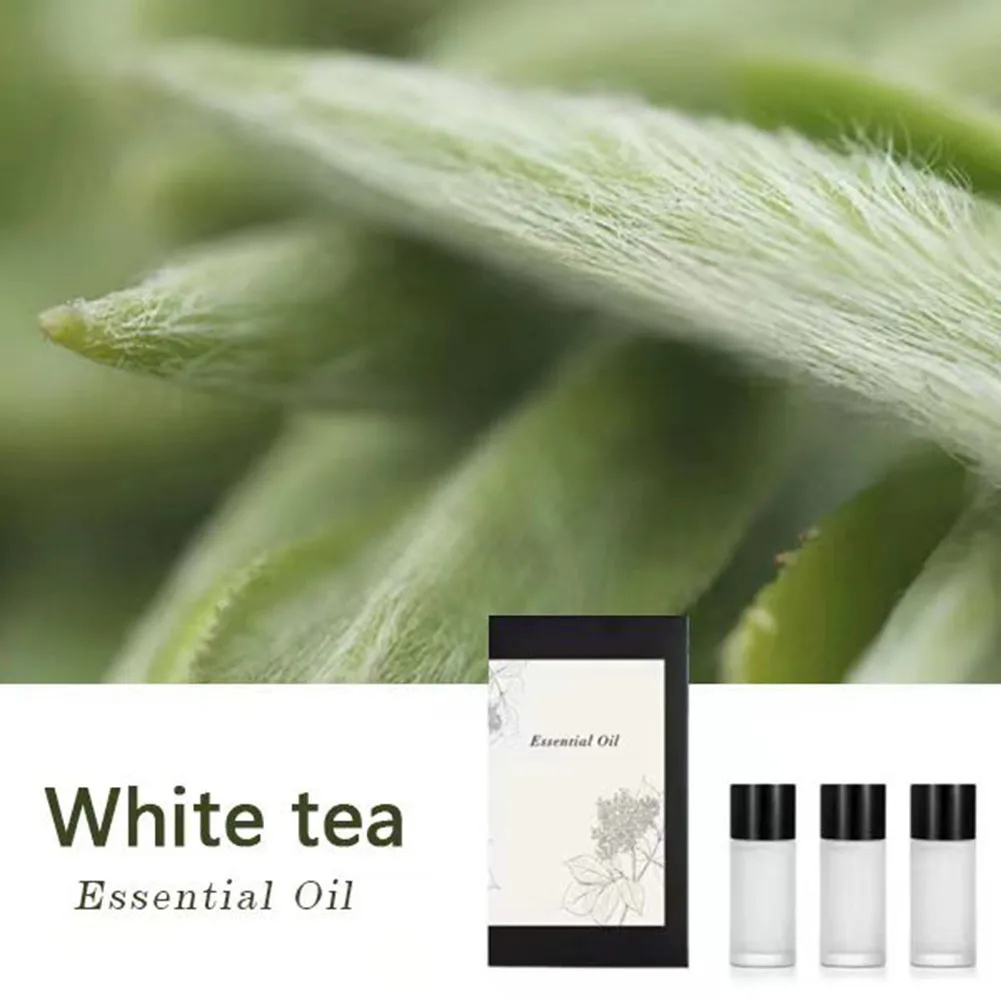 Auto Parts Aromatherapy Oil Long-lasting Fragrance Yes Car Aromatherapy Oils Does Not Apply Essential Glass Bottle Tool
Auto Parts Aromatherapy Oil Long-lasting Fragrance Yes Car Aromatherapy Oils Does Not Apply Essential Glass Bottle Tool