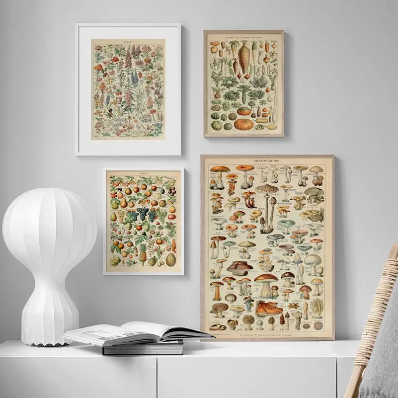 Flowers Mushrooms Fruits Vegetables Vintage Nordic Posters And Print Wall Art Canvas Painting Wall Picture For Living Room Decor
Flowers Mushrooms Fruits Vegetables Vintage Nordic Posters And Print Wall Art Canvas Painting Wall Picture For Living Room Decor