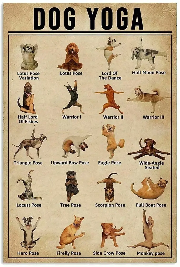 Funny Knowledge Retro Metal Tin Sign Dog Yoga Printing Poster Gym Club Bar Cafe Hall Living Room Bathroom Kitchen Home Art Wall
Funny Knowledge Retro Metal Tin Sign Dog Yoga Printing Poster Gym Club Bar Cafe Hall Living Room Bathroom Kitchen Home Art Wall