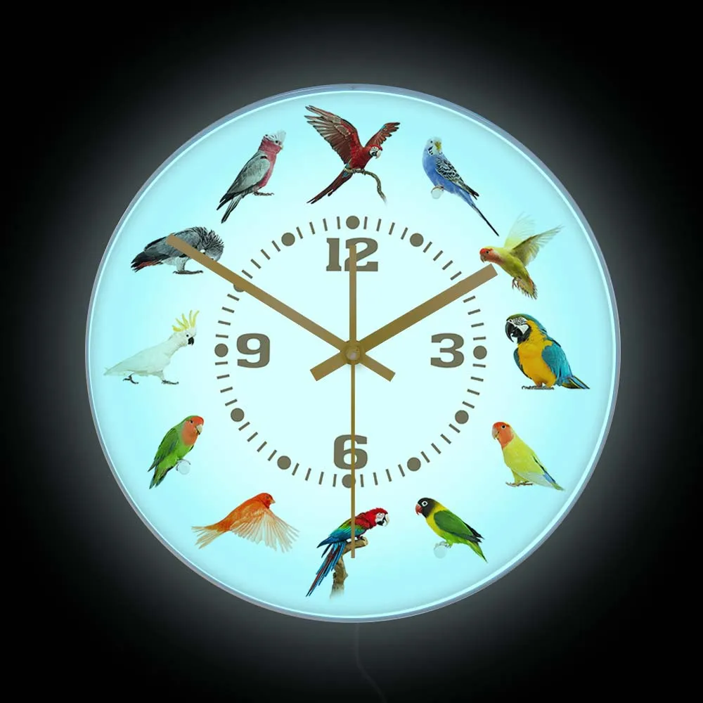 Parrot Bird Breed Collection Modern Design Wall Clock With LED Backlight Living Room Decor Pet Bird LED Night Light Wall Clock
Parrot Bird Breed Collection Modern Design Wall Clock With LED Backlight Living Room Decor Pet Bird LED Night Light Wall Clock