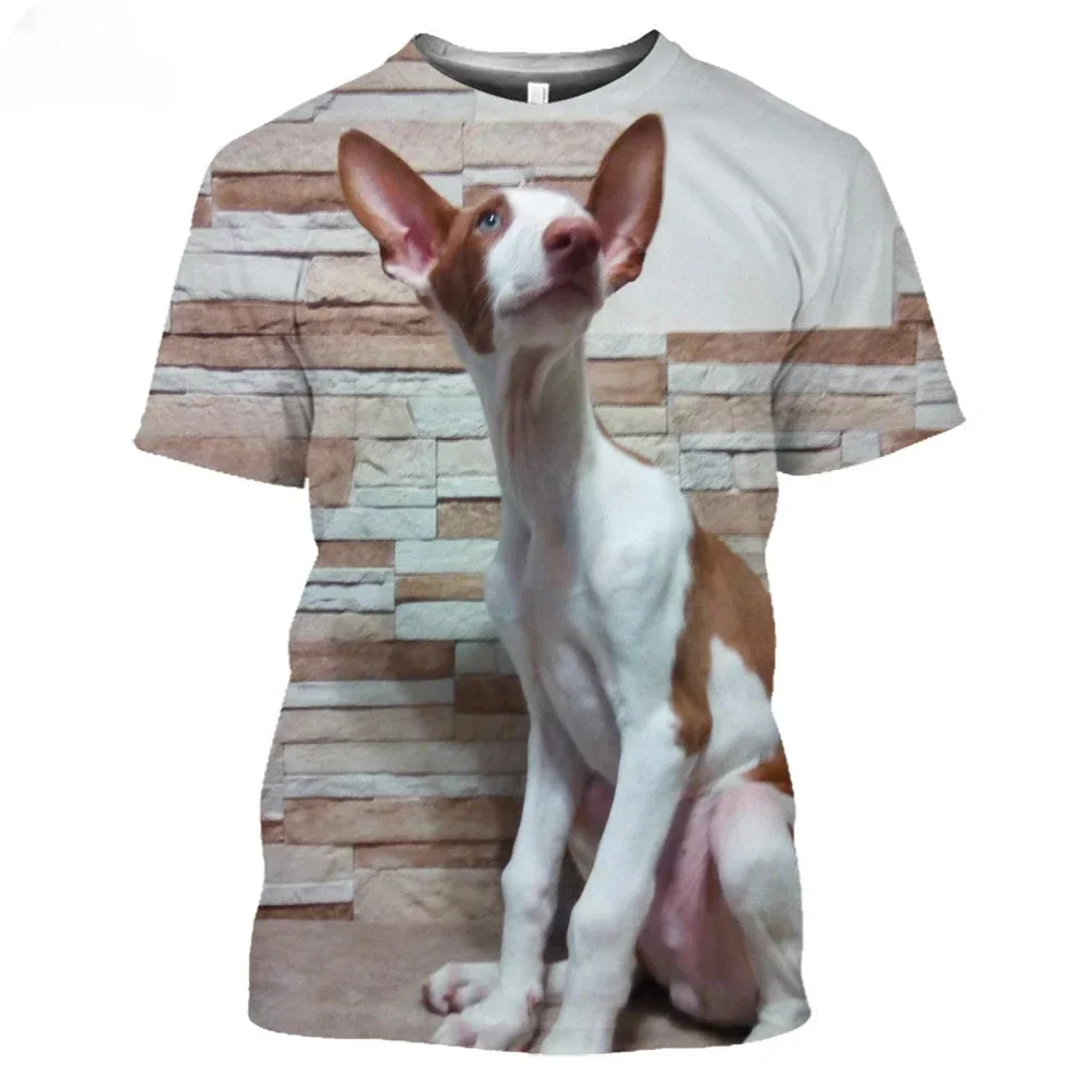 

Ibizan Hound Dogs Hunting 3D T Shirt Men's Women's Teenage 6Xl Podenco Ibecenco Dog Summer Short Sleeve Harajuku Top