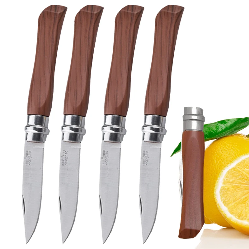 

Folding Peeler Sharp Fruit Knife Stainless Steel Knife Kitchen Knives Fruit and Vegetable Slicing Knife Household Cooking Tool