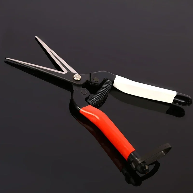 Dobeli SK5 Steel Sharp Blade Point Head Garden Scissors Flowers Pruner Fruit Branch Pruning Tool Cutter For Bonsai Plants
Dobeli SK5 Steel Sharp Blade Point Head Garden Scissors Flowers Pruner Fruit Branch Pruning Tool Cutter For Bonsai Plants