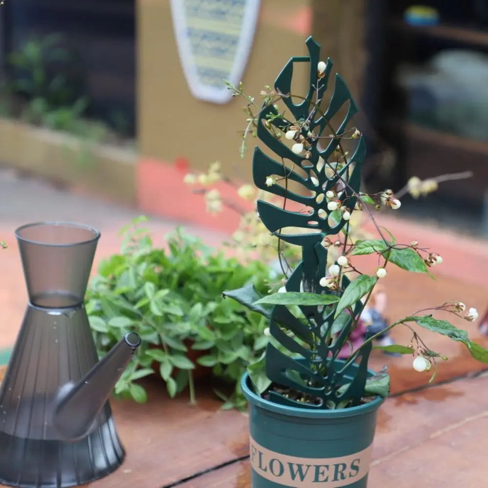 Moss Pole Plant Climbing Bracket Flower Vine Holder Potted Fixing Rod Plant Climbing Pole Plastic Stackable Vine Clips Rose
Moss Pole Plant Climbing Bracket Flower Vine Holder Potted Fixing Rod Plant Climbing Pole Plastic Stackable Vine Clips Rose