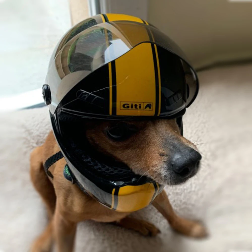 Cute Pet Helmet Cat Dog Outdoor Anti-collision Hat for Cat Dog Make Styling Photo Mini Motorcycle Helmet Props Pet Hat
Cute Pet Helmet Cat Dog Outdoor Anti-collision Hat for Cat Dog Make Styling Photo Mini Motorcycle Helmet Props Pet Hat