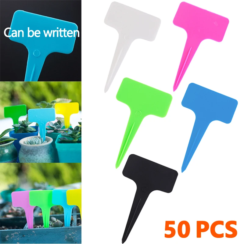 50Pcs T-Type Plant Labels Garden Gardening ID Name Plastic Label Flowers Succulents Vegetables Name Labels Signboard 10*6cm
50Pcs T-Type Plant Labels Garden Gardening ID Name Plastic Label Flowers Succulents Vegetables Name Labels Signboard 10*6cm