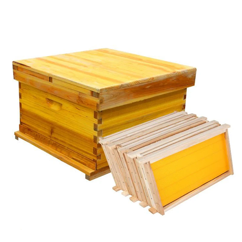 Bee Hive Boxes 10 Frame Honeycomb Fir Boiling Wax BeeHives Wooden Beehive Bees House Garden Beekeeping Equipment Starter Kit
Bee Hive Boxes 10 Frame Honeycomb Fir Boiling Wax BeeHives Wooden Beehive Bees House Garden Beekeeping Equipment Starter Kit