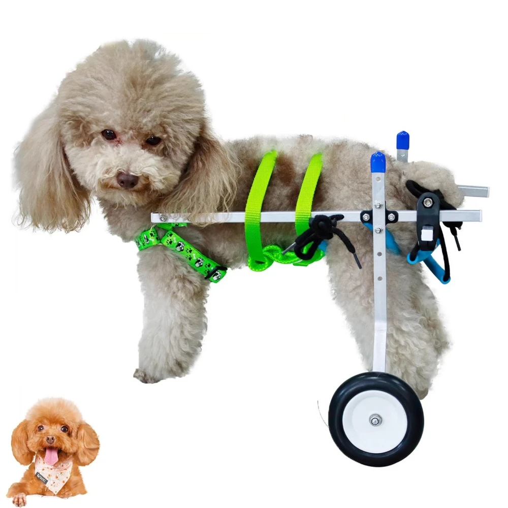 Dog Wheelchair Pet Cat Dog Mobility Aid Trolley Legs Rehabilitation Light Pet Walk Tools Dog Back Leg Wheelchair
Dog Wheelchair Pet Cat Dog Mobility Aid Trolley Legs Rehabilitation Light Pet Walk Tools Dog Back Leg Wheelchair