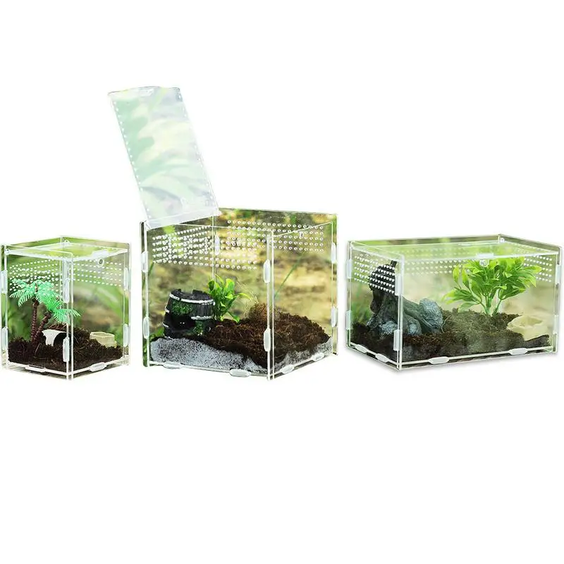 Clear Reptile Tank Climbing Pet Breeding Box Acrylic Reptile Container Insect Feeding Box Tarantula Habitat Box for Small Animal
Clear Reptile Tank Climbing Pet Breeding Box Acrylic Reptile Container Insect Feeding Box Tarantula Habitat Box for Small Animal