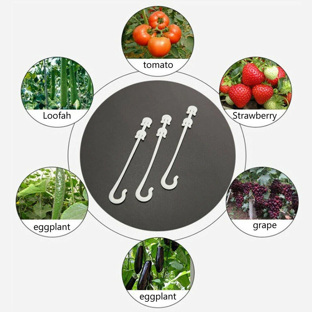 100 Pcs Plant Ear Hook Cherry Tomato Holder Hook J Shaped Fruit Hook For Garden Grape Vegetable Support Hook Farm Supplies
100 Pcs Plant Ear Hook Cherry Tomato Holder Hook J Shaped Fruit Hook For Garden Grape Vegetable Support Hook Farm Supplies