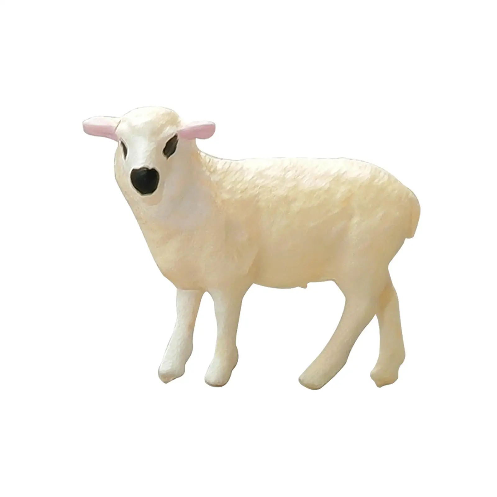 Фигурки животных, модель овцы, Реалистичная фигурка 1:64, фигурка животного, декоративная миниатюрная сцена, реквизит для фото
Фигурки животных, модель овцы, Реалистичная фигурка 1:64, фигурка животного, декоративная миниатюрная сцена, реквизит для фото