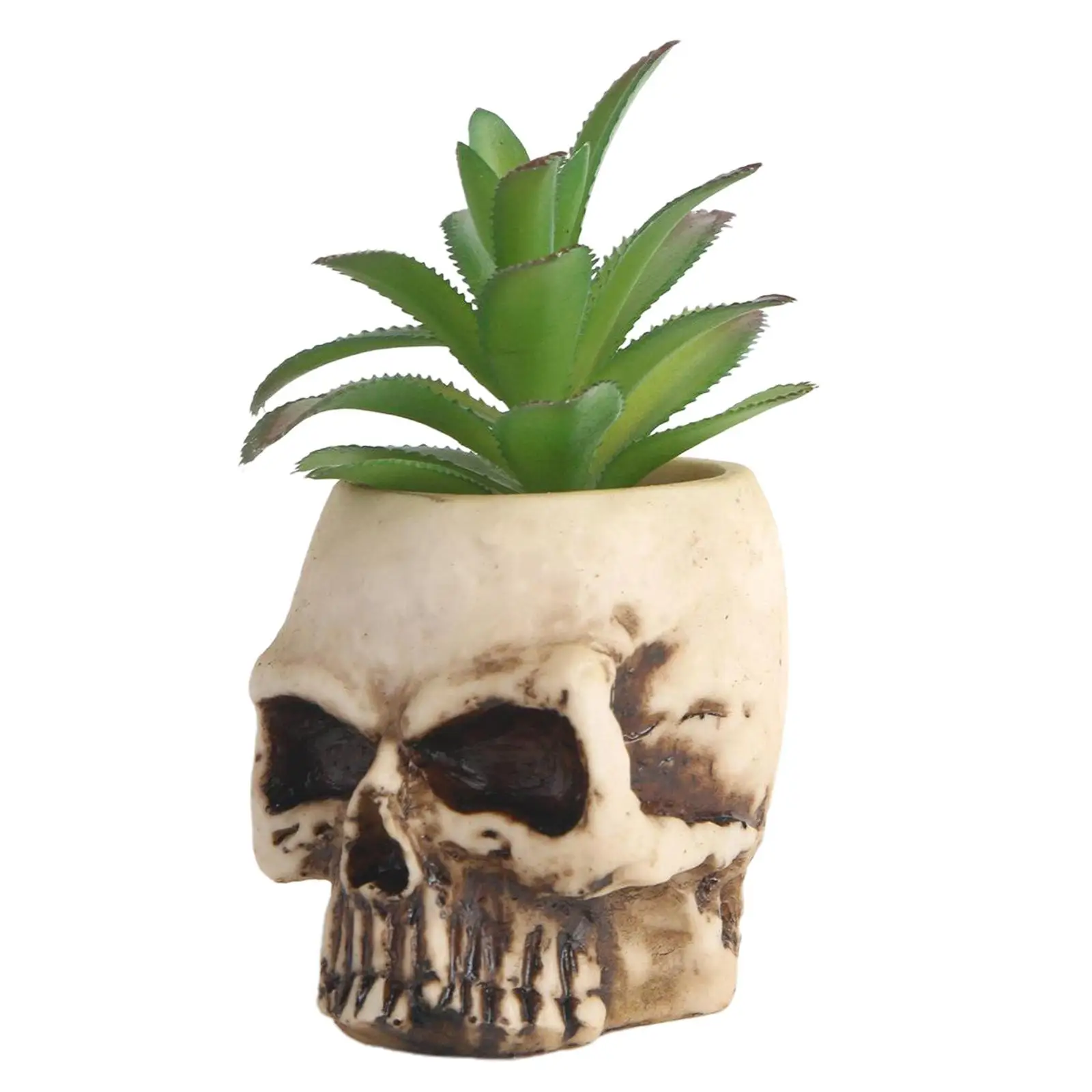 Planter Pot Model Succulent Planter Pot Cute Green Plants Pot Flower Pots Holder Home Decor
Planter Pot Model Succulent Planter Pot Cute Green Plants Pot Flower Pots Holder Home Decor