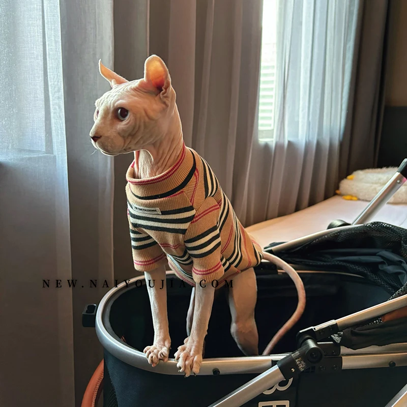 Роскошная Одежда в полоску с котом Sphynx, пальто для кота, мягкое зимнее нижнее белье с высоким воротником для Devon Rex, одежда для отдыха с длинными рукавами, весна
Роскошная Одежда в полоску с котом Sphynx, пальто для кота, мягкое зимнее нижнее белье с высоким воротником для Devon Rex, одежда для отдыха с длинными рукавами, весна