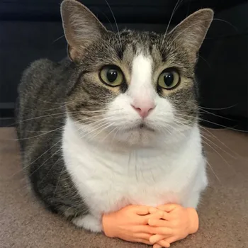 고양이 키티 고양이용 재미있는 마사지 작은 손가락 장갑, 가짜 인간 손, 1 쌍