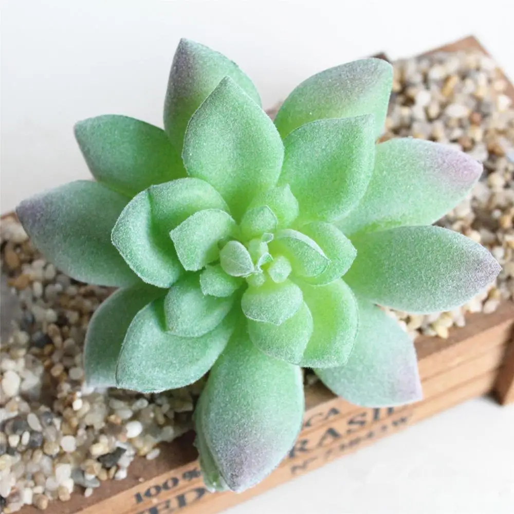 1Pc Artificial Flower Mini Succulent Plant Vivid Color Unfading Real-like Home Decor Wedding Party Home Desk Bonsai Decor
1Pc Artificial Flower Mini Succulent Plant Vivid Color Unfading Real-like Home Decor Wedding Party Home Desk Bonsai Decor