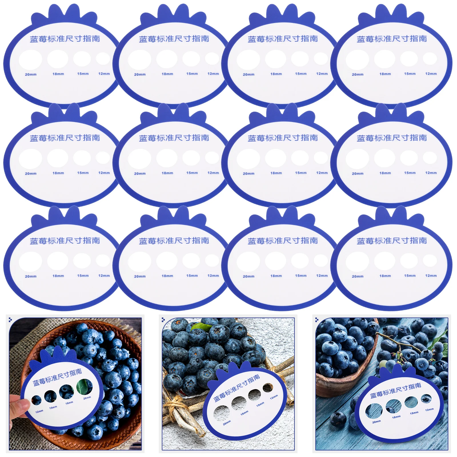 

Citrus Fruits Blueberry Standard Ruler Diameter Measuring Tool Caliper Fresh Grading Tool 12pcs (105*105)