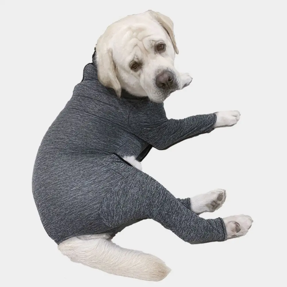 Soft Breathable Pet Sterilization Suit Comfortable Elastic Pet After Surgery Clothes Polyester Dog Postoperative Recovery Suit
Soft Breathable Pet Sterilization Suit Comfortable Elastic Pet After Surgery Clothes Polyester Dog Postoperative Recovery Suit