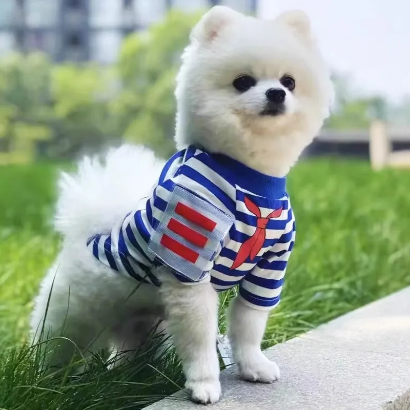 Pet Clothing Dogs Certificate Striped Dog Clothes Shirt College Style Casual Print Costume Small Trendy Spring Summer Wholesale
Pet Clothing Dogs Certificate Striped Dog Clothes Shirt College Style Casual Print Costume Small Trendy Spring Summer Wholesale