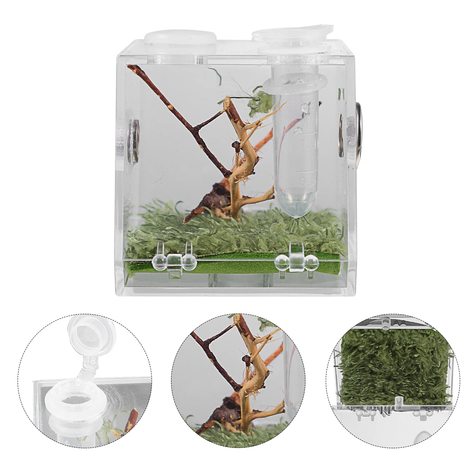 Small Reptile Breeding Box with Dropper and Forceps Pet Terrarium Transparent Acrylic Cage Insect Jumping Spider Feeding Box
Small Reptile Breeding Box with Dropper and Forceps Pet Terrarium Transparent Acrylic Cage Insect Jumping Spider Feeding Box