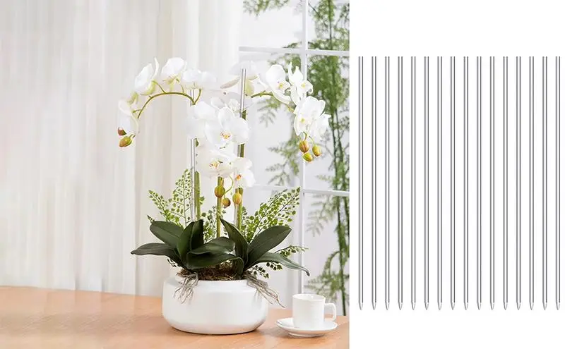 

Indoor Plant Stakes Clear Orchid Sticks Acrylic Vine Support Holders Gardening Tools Plant Stakes For Flowers Potted Plants