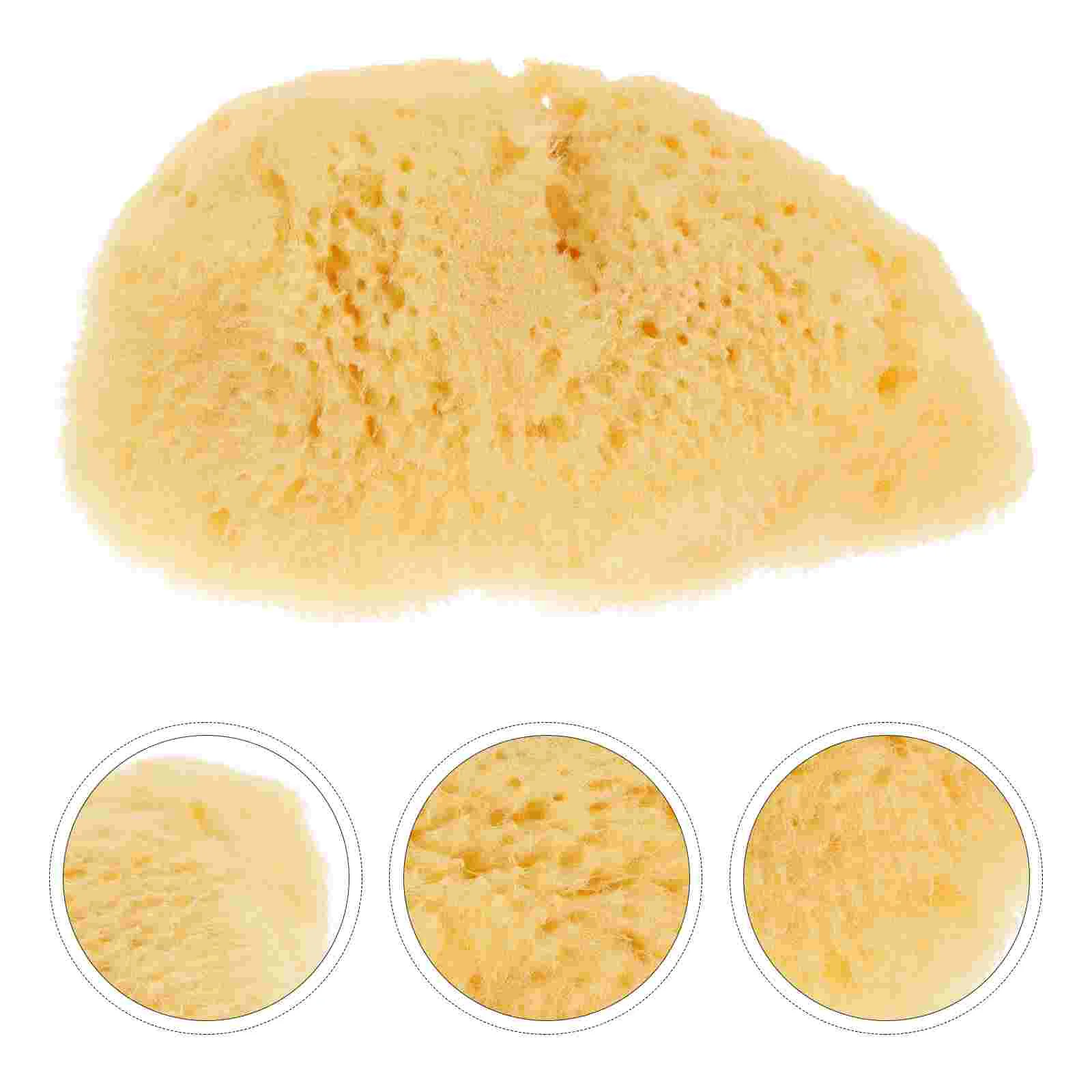 Painting Texture Sponge Brush Watercolor Sponges Makeup for Graffiti Accessory Craft Child Decorate
Painting Texture Sponge Brush Watercolor Sponges Makeup for Graffiti Accessory Craft Child Decorate